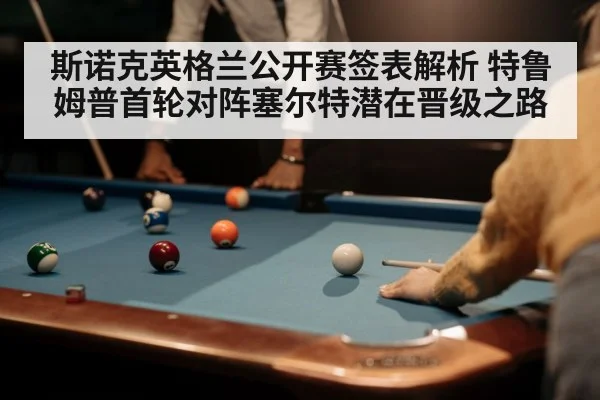 snooker player cue