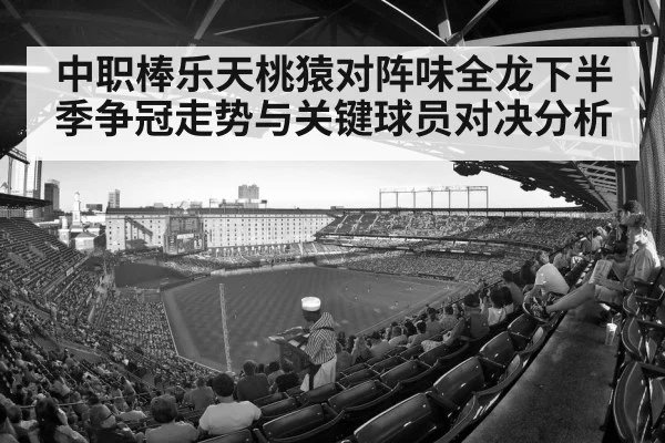 baseball stadium crowd | Kaiyun